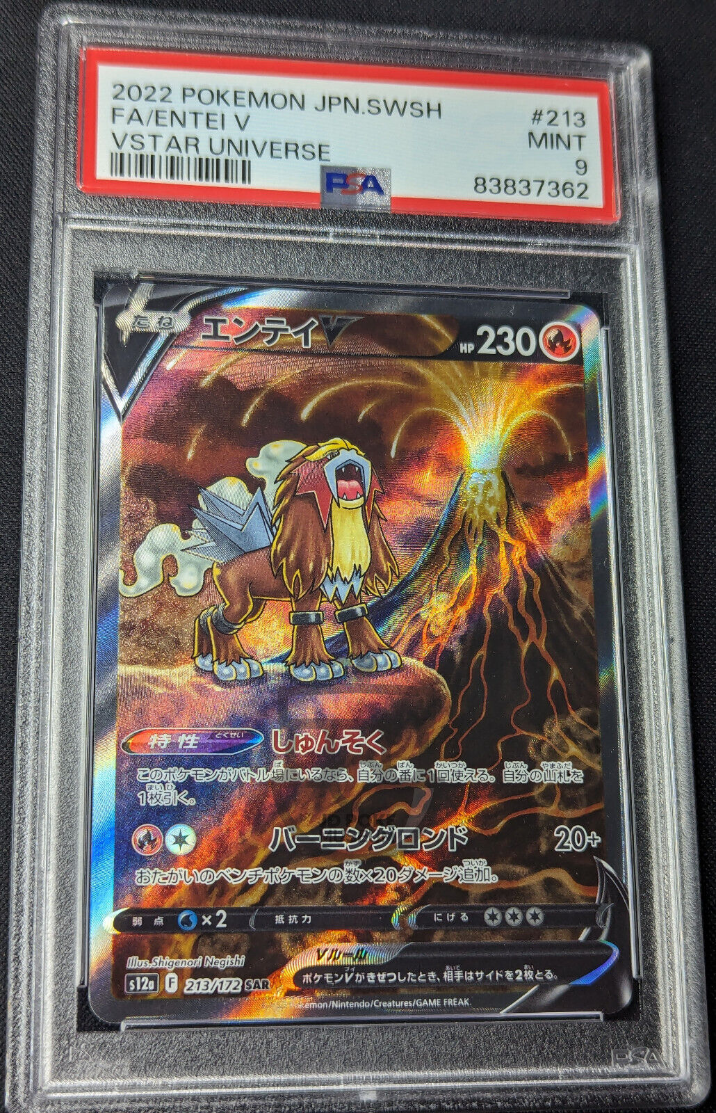 Pokemon 2022 Japanese VStar Universe s12a - Entei V 213/172 SAR Card - Mint PSA 9