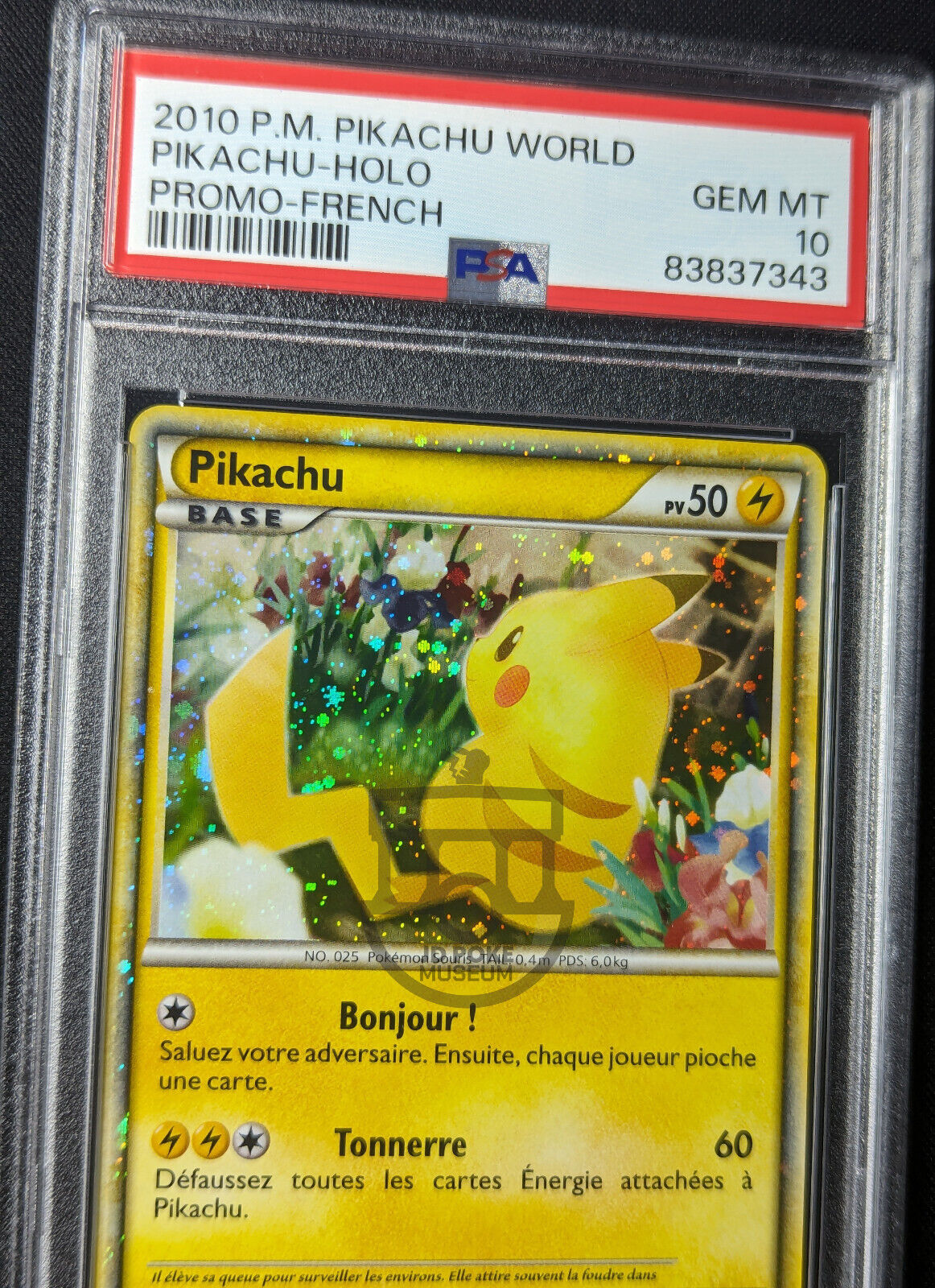 Pokemon 2010 Japanese Pikachu World - French Pikachu Holo Card - Gem Mint PSA 10