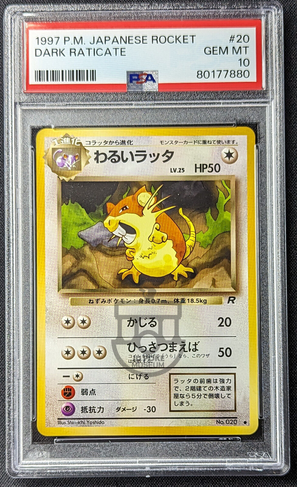 Pokemon 1997 Japanese Rocket Set - Dark Raticate No.020 Card - Gem Mint PSA 10