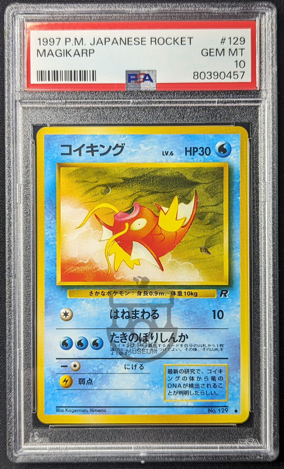 Pokemon 1997 Japanese Rocket Set - Magikarp No.129 Card - Gem Mint PSA 10